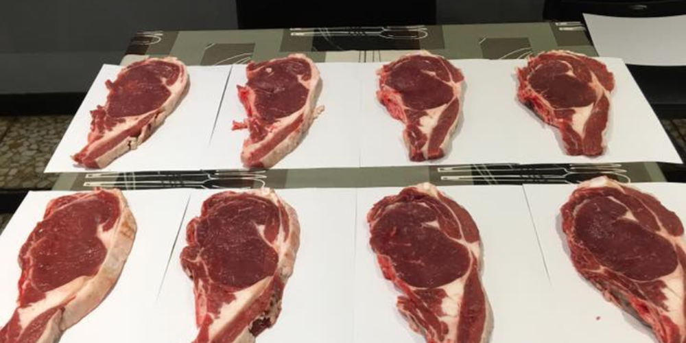 Diseño sin título (45)